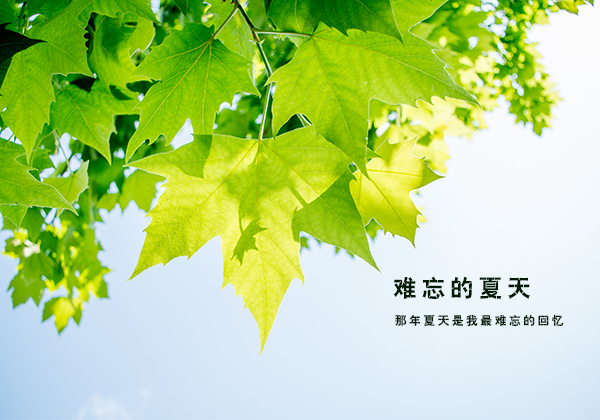 难忘的夏天-关于夏天的作文600字